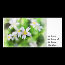 WOODLAND FLOWERS as a painting, She loves me photo cards