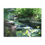 Woodland Garden Stream Post Card