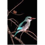 Woodland kingfisher, Mara River Camp, Kenya photo sculptures