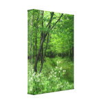 Woodland Path Canvas Prints