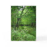 Woodland Path cards