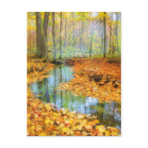 Woodland stream, postcards