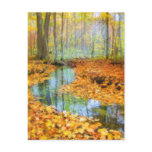 Woodland stream, postcards