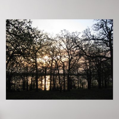 Woodland Sunset Print by Saturn154