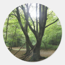 Woodland Sunshine Stickers