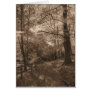 Woodland Walks Greeting Cards