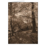 Woodland Walks cards