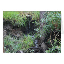 Woodland Waterfall 2 Card
