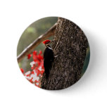 Woodpecker Button