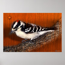 WOODPECKER POSTERS