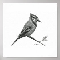 woodpecker print Dan Bowser