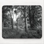 Woods Bute Park, Cardiff mousepads