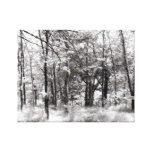 Woods Stretched Canvas Prints