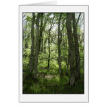 Woods Greeting Card