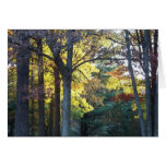 woods card