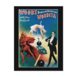 Wood's Startling Sensation Vintage Magician postcards