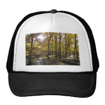 Woods with standing water hat