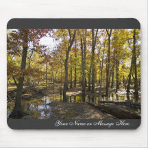 Woods with standing water mousepad