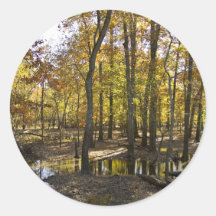 Woods with standing water sticker