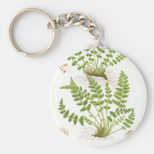 Woodsia Fern Key Chain