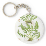 Woodsia Fern Key Chain