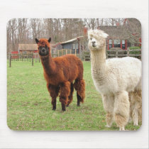 Woolly Llamas ~ mousepad
