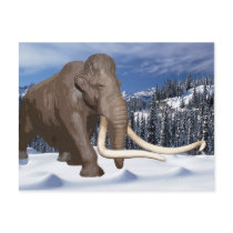Woolly Mammoth Postcard