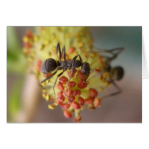 Work like a bee