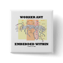 Worker Ant Embedded Within (Ant Worker Morphology)