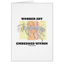 Worker Ant Embedded Within (Ant Worker Morphology)