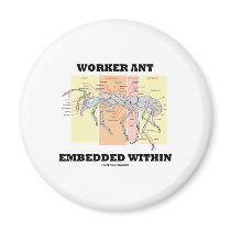 Worker Ant Embedded Within (Ant Worker Morphology)