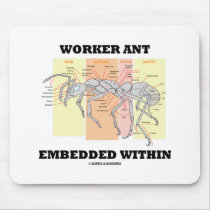 Worker Ant Embedded Within (Ant Worker Morphology)