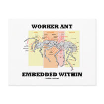 Worker Ant Embedded Within (Ant Worker Morphology)