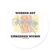 Worker Ant Embedded Within (Ant Worker Morphology)