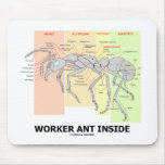 Worker Ant Inside (Ant Anatomy) Mousepad