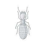 Worker Termite embroidered shirts
