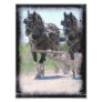 Working Amish Pinto Draughts Art Photo