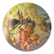 Working as a bee round sticker