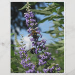 working bees flyers