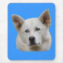 Working Dog mousepads