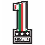 World Cup Champion Algeria t-shirts