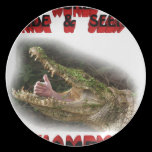 world hide & seek champion plates