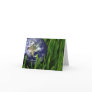 World Note Card