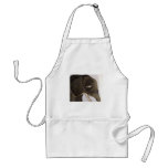 world of eric ginsburg erics land aprons