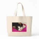Worlds Cutest Kitten bags