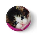 Worlds Cutest Kitten buttons