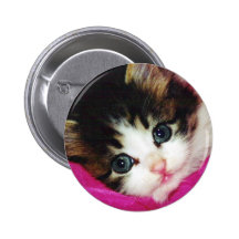 Worlds Cutest Kitten Pinback Buttons