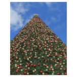 World's Largest Christmas Tree flyers