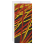 woven string reds rack cards