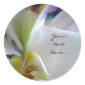 Wow Phalaenopsis Orchid Wedding Invitation Seals stickers